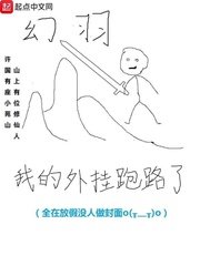 《我的外挂跑路了》