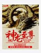 《神龙至尊》