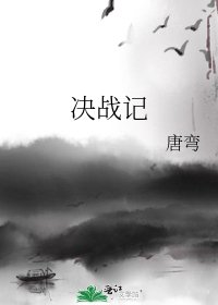 《决战记》
