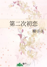 《第二次初恋》