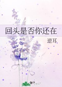 回头是否你还在