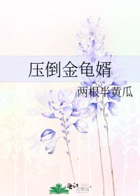 《壓倒金龜婿》