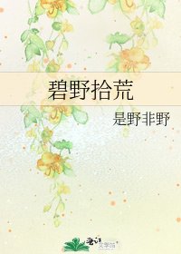 《碧野拾荒》