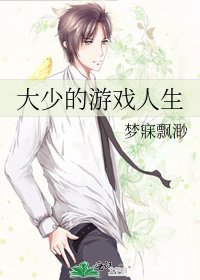 《大少的游戏人生》