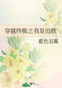 《穿越终极之我是田欣》