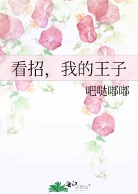 《看招,我的王子》