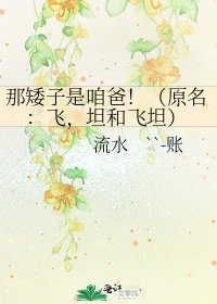 《那矮子是咱爸!(原名:飞,坦和飞坦)》